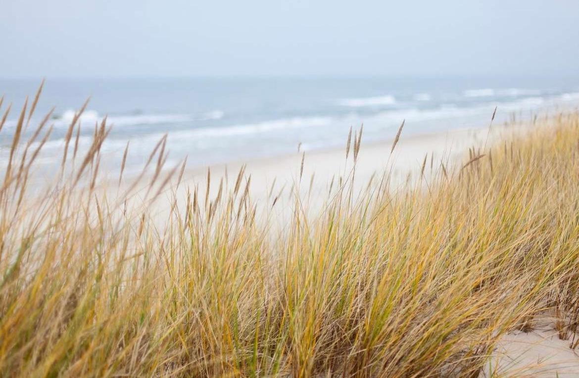 Oase An Der Ostsee Mit 2 Schlafzimmern Heiligenhafen Luaran gambar